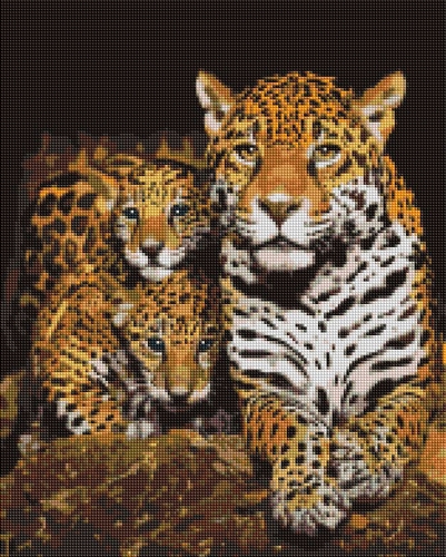 Фото Алмазна мозаїка Нічні леопарди Вrushme DBS1085 40 x 50 (9995482178099)