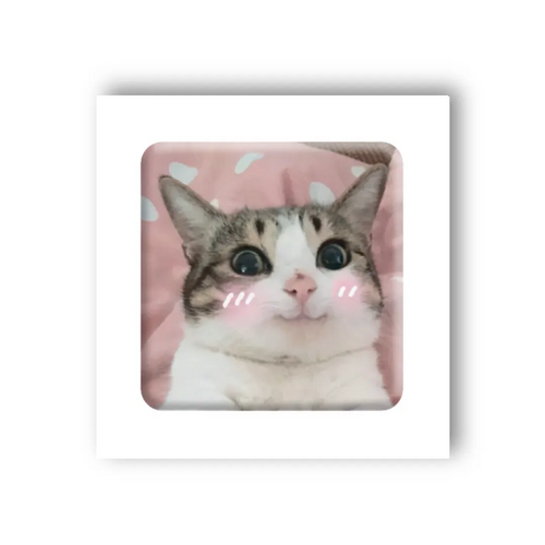 Фото 3D-стікер "Мем милий котик" Tattooshka SX-25 (4829000011023)