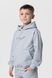 Костюм для хлопчика (худі+штани) Ecrin 2501 140 см Сірий (2000990222824D) Фото 10 з 29
