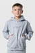 Костюм для хлопчика (худі+штани) Ecrin 2501 140 см Сірий (2000990222824D) Фото 8 з 29