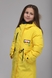Куртка зимова HL12 134 см Жовтий (2000989037514W) Фото 1 з 16