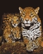 Алмазна мозаїка Нічні леопарди Вrushme DBS1085 40 x 50 (9995482178099) Фото 1 з 2