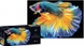 Пазлы трехслойные панорамные Красочная природа Рыбка Interdruk 342041 (5902277342041)