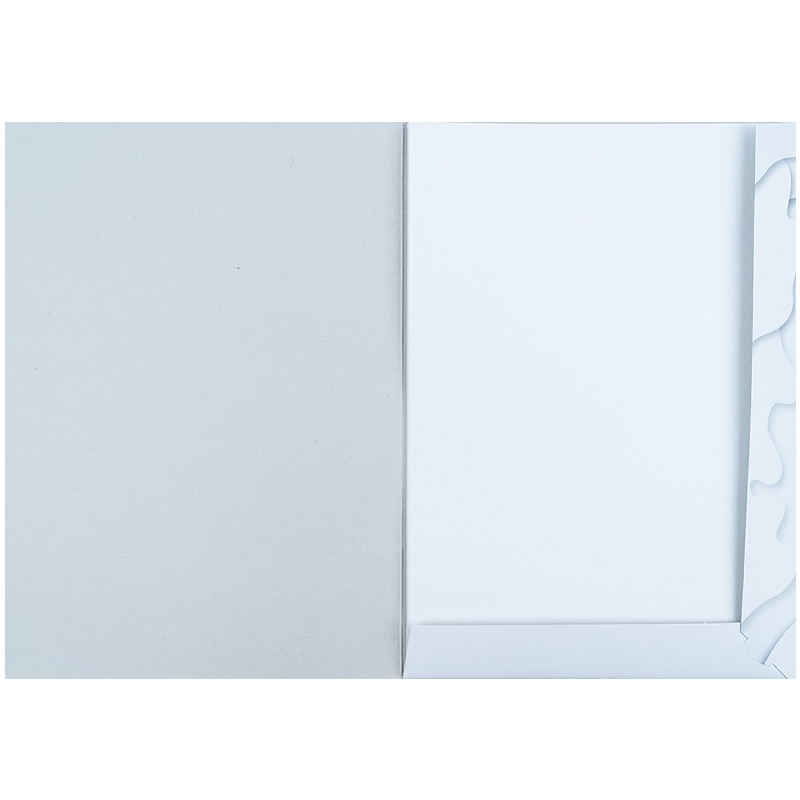 Фото Картон білий односторонній А4/10 "Kite" папка K21-1254 (4063276040480)
