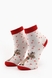 Шкарпетки Zengin 408 0-1 Різнокольоровий (2000904588039A)(NY) Фото 6 з 9
