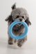 Іграшка Кільце для собак KUMAOCHONGWUYONGPIN KM52691 Блакитний (2000990383495)