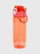 Пляшка для напоїв DY9231 Червоний (2000990542557) Фото 3 з 6
