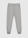 Спортивні штани для хлопчика Deniz 3012 140 см Сірий (2000990489852D) Фото 6 з 10