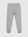 Спортивні штани для хлопчика Deniz 3012 140 см Сірий (2000990489852D) Фото 9 з 10