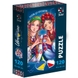 Пазл "Poland&Ukraine" Vladi Toys DT100-16 (5903858962078) Фото 1 з 2