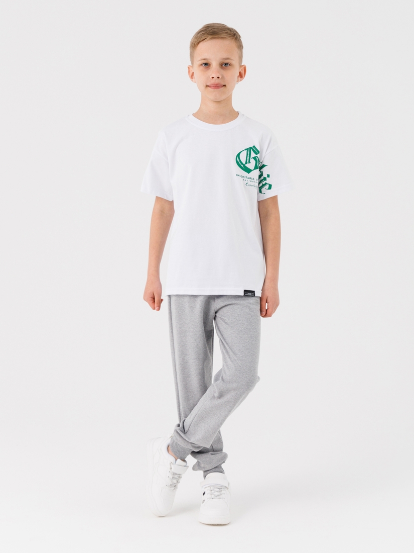 Фото Спортивні штани для хлопчика Deniz 3012 140 см Сірий (2000990489852D)