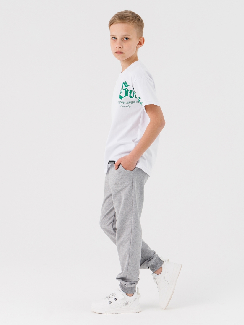 Фото Спортивные штаны для мальчика Deniz 3012 140 см Серый (2000990489852D)