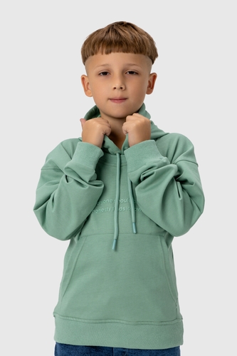Фото Худи с принтом для мальчика ADK 2956 128 см Зеленый (2000990044716D)