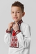 Сорочка вишиванка для хлопчика КОЗАЧЕК ОРЕСТ 122 см Червоний (2000990029881D) Фото 2 з 13