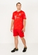 Футбольная форма футболка+шорты BAVARIA XL Красный (2000904330768A) Фото 1 из 6