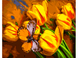 Фото Набор для росписи по номерам Strateg GS1019 Желтые тюльпаны с бабочкой 40 х 50 см (482311383850074)