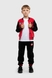 Спортивний костюм для хлопчика (кофта, штани) Lizi 591 116 см Червоний (2000989981039W) Фото 1 з 18