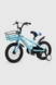 Велосипед дитячий DOUMOER LH112968 14" Блакитний (2000990469793) Фото 2 з 11