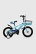 Велосипед дитячий DOUMOER LH112968 14" Блакитний (2000990469793) Фото 3 з 11