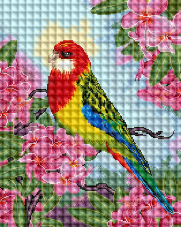 Фото Алмазная мозаика Попугай в цветах Вrushme DBS1027 40 x 50 (9995482176033)