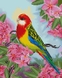 Алмазная мозаика Попугай в цветах Вrushme DBS1027 40 x 50 (9995482176033) Фото 1 из 2