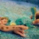 Стретч-іграшка у вигляді тварини серії LEGEND OF ANIMALS "Морські доісторичні хижаки" #sbabam 128/CN22 (9772499228005) Фото 4 з 8