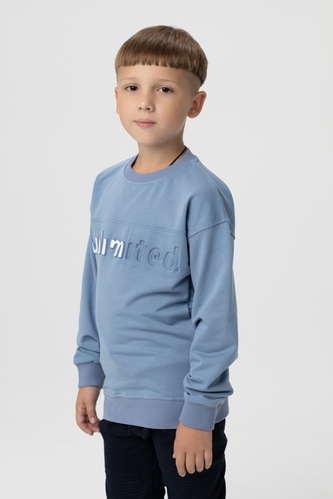 Світшот з принтом для хлопчика ADK 2958 152 см Блакитний (2000990083791D)