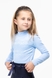 Блуза дівчинка Perix 4012 152 см Блакитний (2000989808947D) Фото 1 з 11