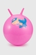 М'яч для фітнесу B4501 Рожевий (2000990366115) Фото 1 з 3