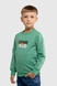 Свитшот с принтом для мальчика Baby Show 13057 98 см Зеленый (2000990004086D)