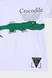 Костюм (футболка + шорты) Bay Gree 42240 80 см Зеленый (2000989458722S) Фото 4 из 9