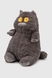 М'яка іграшка Кіт JINGRONGWANJU JR62120 Сірий (2002014842384) Фото 1 з 3
