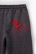 Спортивні штани для хлопчика AZN 351 164 см Темно-сірий (2000989563075D) Фото 11 з 11