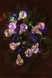 Світлодіодна гірлянда 10LED різнобарвна Лампочки WWI030955 (6952004708540)(NY) Фото 3 з 5