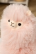 М'яка іграшка C15502 Рожевий (2000990197887) Фото 2 з 5