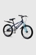 Велосипед дитячий DOUMOER LH112927 20" Синій (2000990469755) Фото 1 з 9