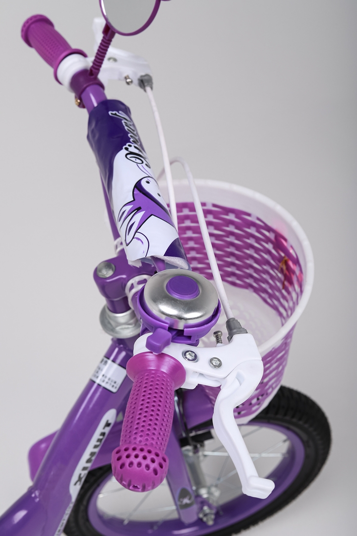 Фото Велосипед діаметр 14 KUBABY CYI21001 Фіолетовий (2000989581024)