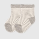 Шкарпетки для хлопчика 3 шт AND Дельфін 0-6 Сірий (2000990040817А) Фото 9 з 10