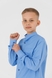 Сорочка однотонна для хлопчика Redpolo 1713-1 164 см Синій (2000990388063D) Фото 4 з 12