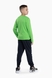 Спортивний костюм (кофта,реглан,штани) для хлопчика 8895 176 см Синій (2000989896470D) Фото 9 з 26