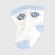 Шкарпетки для хлопчика Belinda 1030 3-4 роки Білий (2000990002679A) Фото 4 з 4
