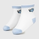 Шкарпетки для хлопчика Belinda 1030 3-4 роки Білий (2000990002679A) Фото 1 з 4