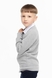 Кофта з принтом для хлопчика SAFARI 245 122 см Сірий (2000989824497D) Фото 3 з 12