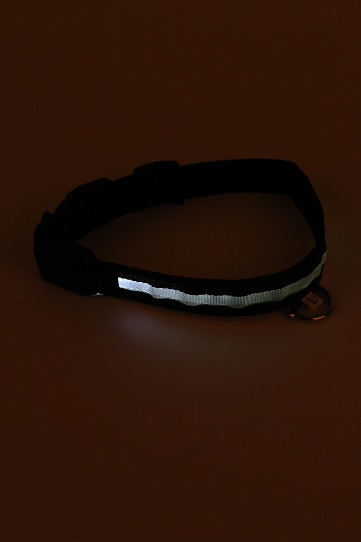 Фото Led ошейник для собак на батарейках, размер L 45-52 см, 2,5см ДМР1932 Черный (2000989398387A)