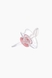 Пустишка силіконова анатомічна 0-6 Canpol Babies Newborm baby 22/565_pin Рожевий (2000901479545) Фото 2 з 4