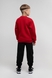 Спортивні штани однотонні для хлопчика Atescan 2211 134 см Чорний (2000990057822D) Фото 5 з 11
