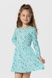 Сукня з принтом для дівчинки Deniz Зірочка 116 см М'ятний (2000990153005D) Фото 2 з 13