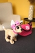 Іграшка Собака M5594 I Різнокольоровий (6903317397112) Фото 1 з 5