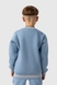 Костюм для хлопчика (світшот+штани) MAGO T-363 98 см Блакитний (2000990064653W) Фото 6 з 20