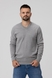 Пуловер однотонный мужской FIGO 6976 XL Светло-серый (2000989965190) Фото 1 из 11